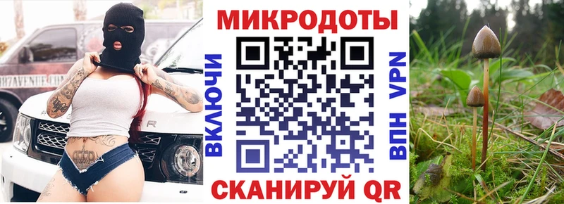 Псилоцибиновые грибы Cubensis Печора